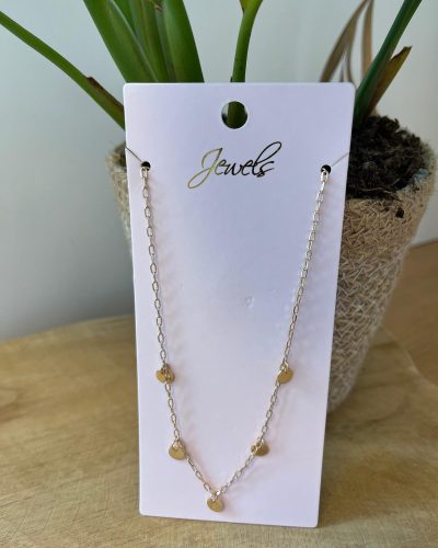 500L44 Ketting met kleine muntjes