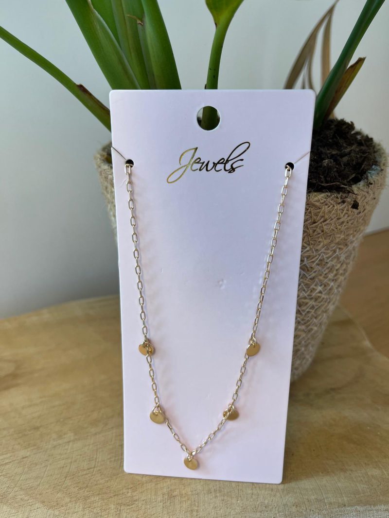 500L44 Ketting met kleine muntjes